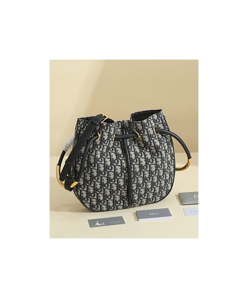 디올 노리타 미듐 백 오블리크 블루