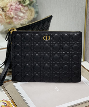 디올 미디움 카로 데일리 파우치