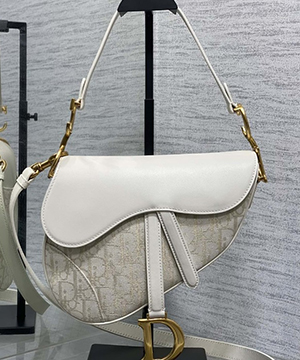 디올 오블리크 클래식 새들백 25