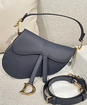 디올 레더 새들 백 19