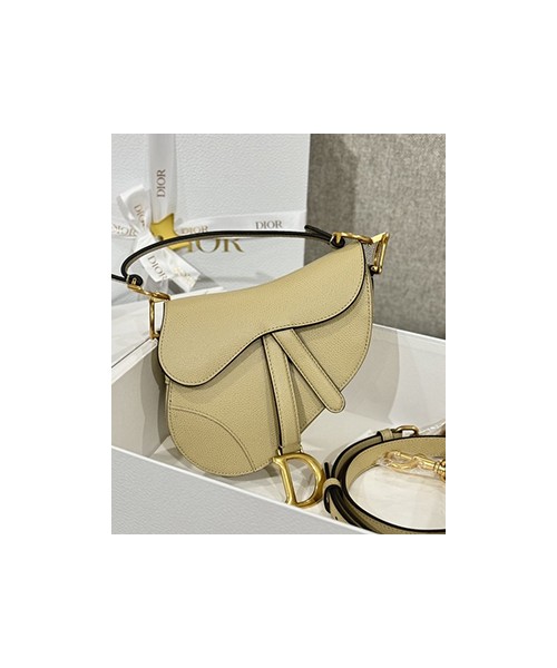 디올 레더 새들 백 19