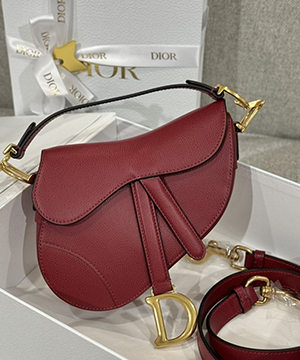 디올 레더 새들 백 19