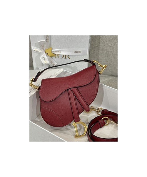 디올 레더 새들 백 19