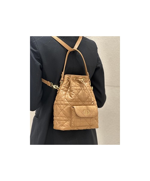 디올 카로 버킷 백