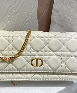 디올 카로 체인 크로스 20