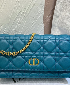 디올 카로 체인 크로스 20