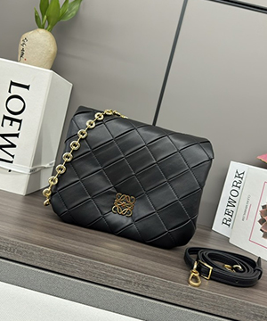 로에베 고야 퍼퍼 백