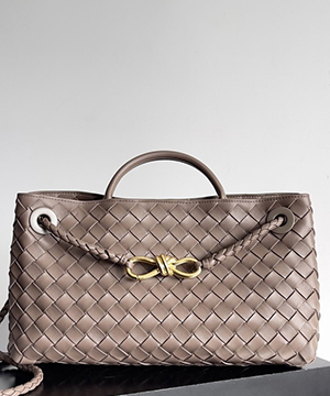 보테가베네타 스몰 안디아모 백 E/W