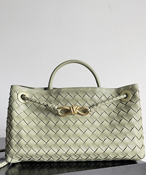 보테가베네타 스몰 안디아모 백 E/W