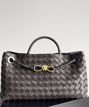 보테가베네타 스몰 안디아모 백 E/W