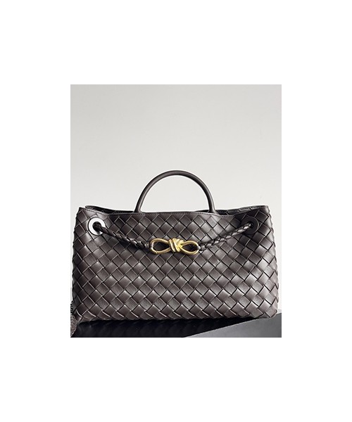 보테가베네타 스몰 안디아모 백 E/W