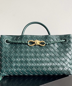 보테가베네타 스몰 안디아모 백 E/W