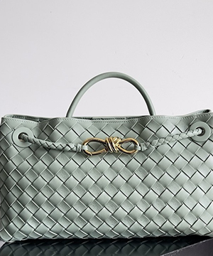 보테가베네타 스몰 안디아모 백 E/W