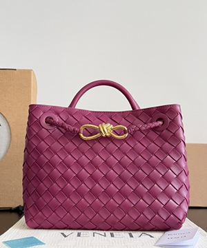 보테가베네타 스몰 안디아모 백 25