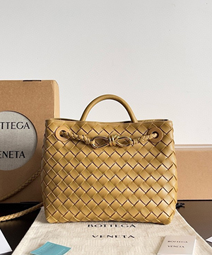 보테가베네타 스몰 안디아모 백 25