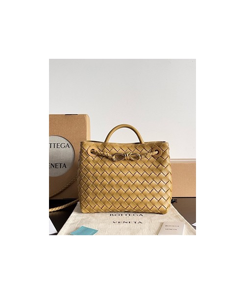 보테가베네타 스몰 안디아모 백 25