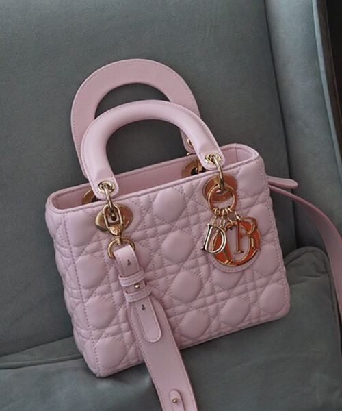 디올 엔젤 디올 레이디백 스몰
