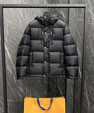 루이비통 모노그램 다운 패딩