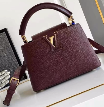 루이비통 카퓌신 미니 M24733 21 x 13.6 x 8 cm