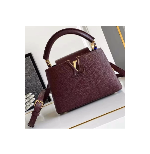 루이비통 카퓌신 미니 M24733 21 x 13.6 x 8 cm