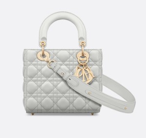 디올 레이디백 스몰 클라우드 그레이