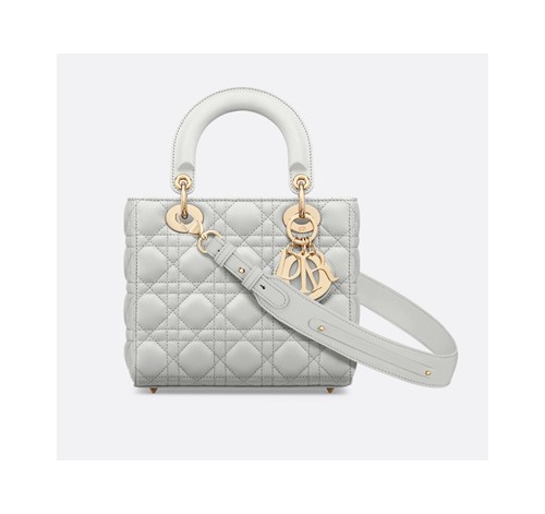 디올 레이디백 스몰 클라우드 그레이