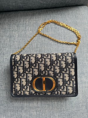 디올 몽테인 투인원 파우치