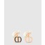 디올 트라이벌 귀걸이 E2459