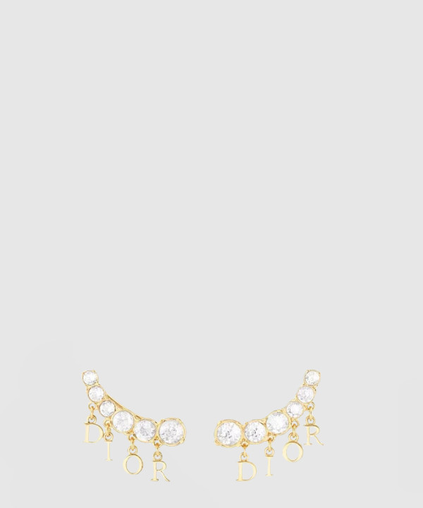 디올 귀걸이 E3184