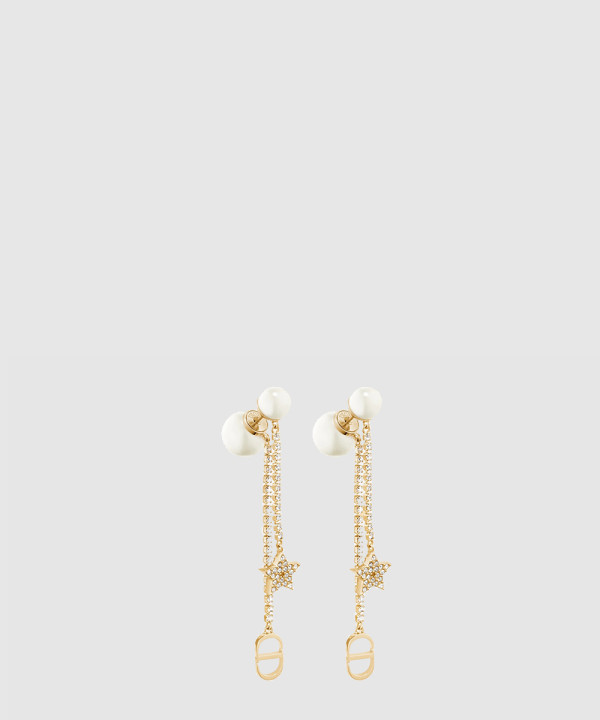 디올 트라이벌 귀걸이 E1270