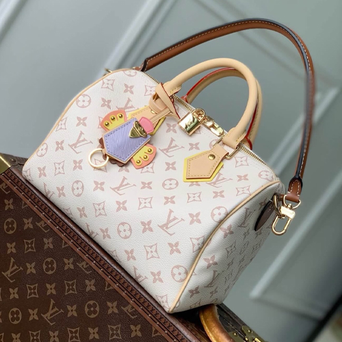 루이비통 스피디 반둘리에 25 소프트 LV 크래프티백