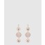 디올 Rose des Vents 귀걸이 JRDV9