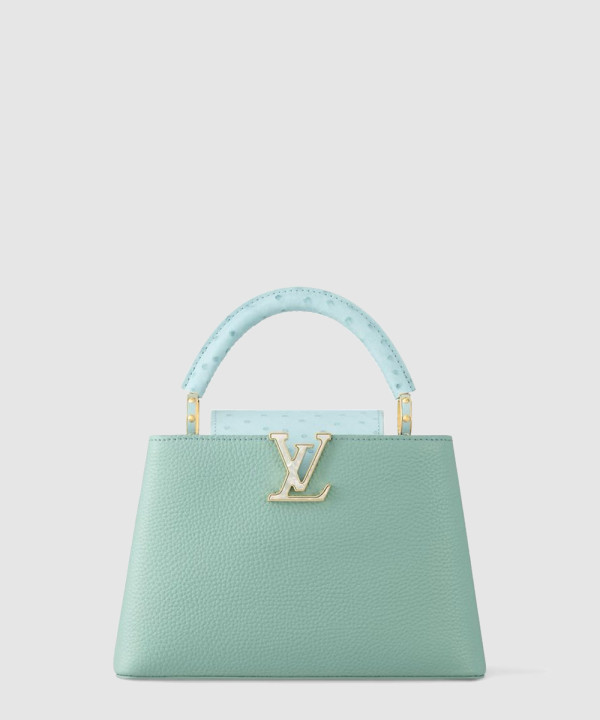 루이비통 카퓌신 BB N84073