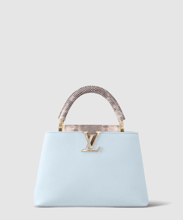 루이비통 카퓌신 BB M21166