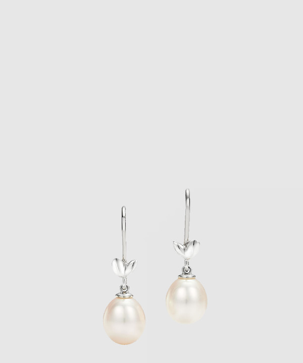 티파니앤코 올리브 리프 드롭 이어링