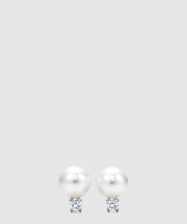 티파니앤코 귀걸이