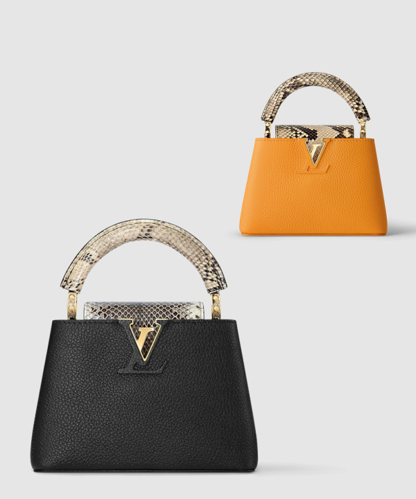 루이비통 카퓌신 미니 N96467