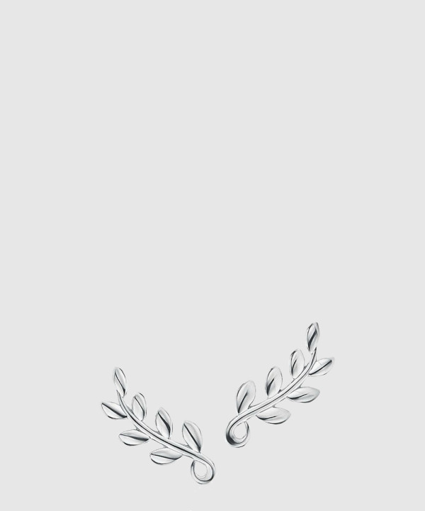 티파니앤코 올리브 리프 클라이머 귀걸이