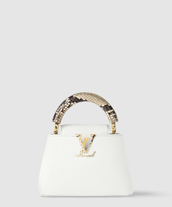 루이비통 카퓌신 미니 N98477