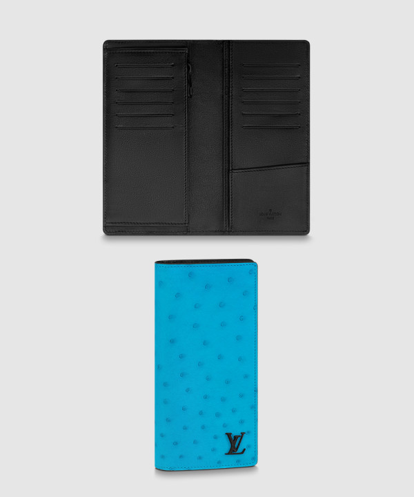 루이비통 브라짜 월릿 N82509