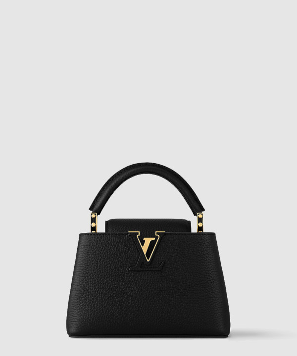 루이비통 카퓌신 미니 M24729