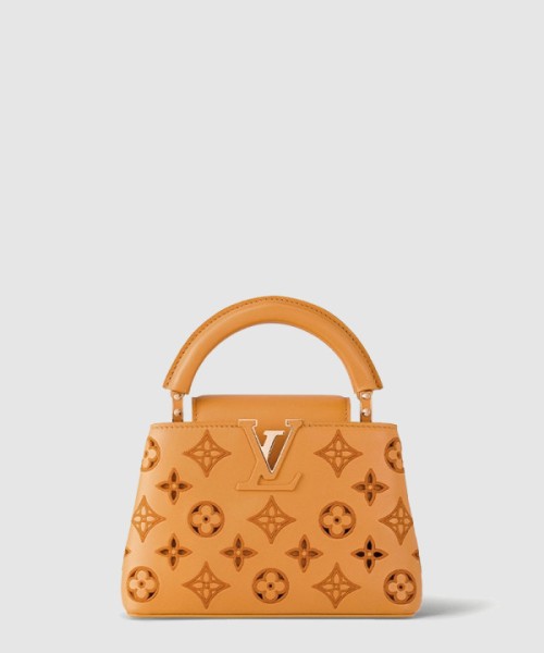 루이비통 카퓌신 미니 M22863