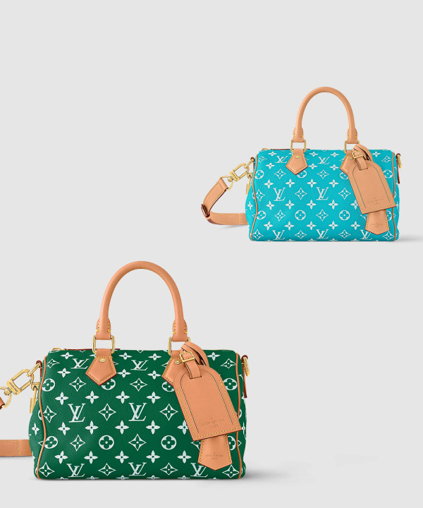 루이비통 Speedy P9 반둘리에 25 M24423