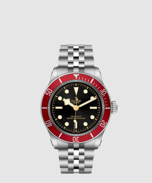 튜더 블랙베이 41 M7941A1