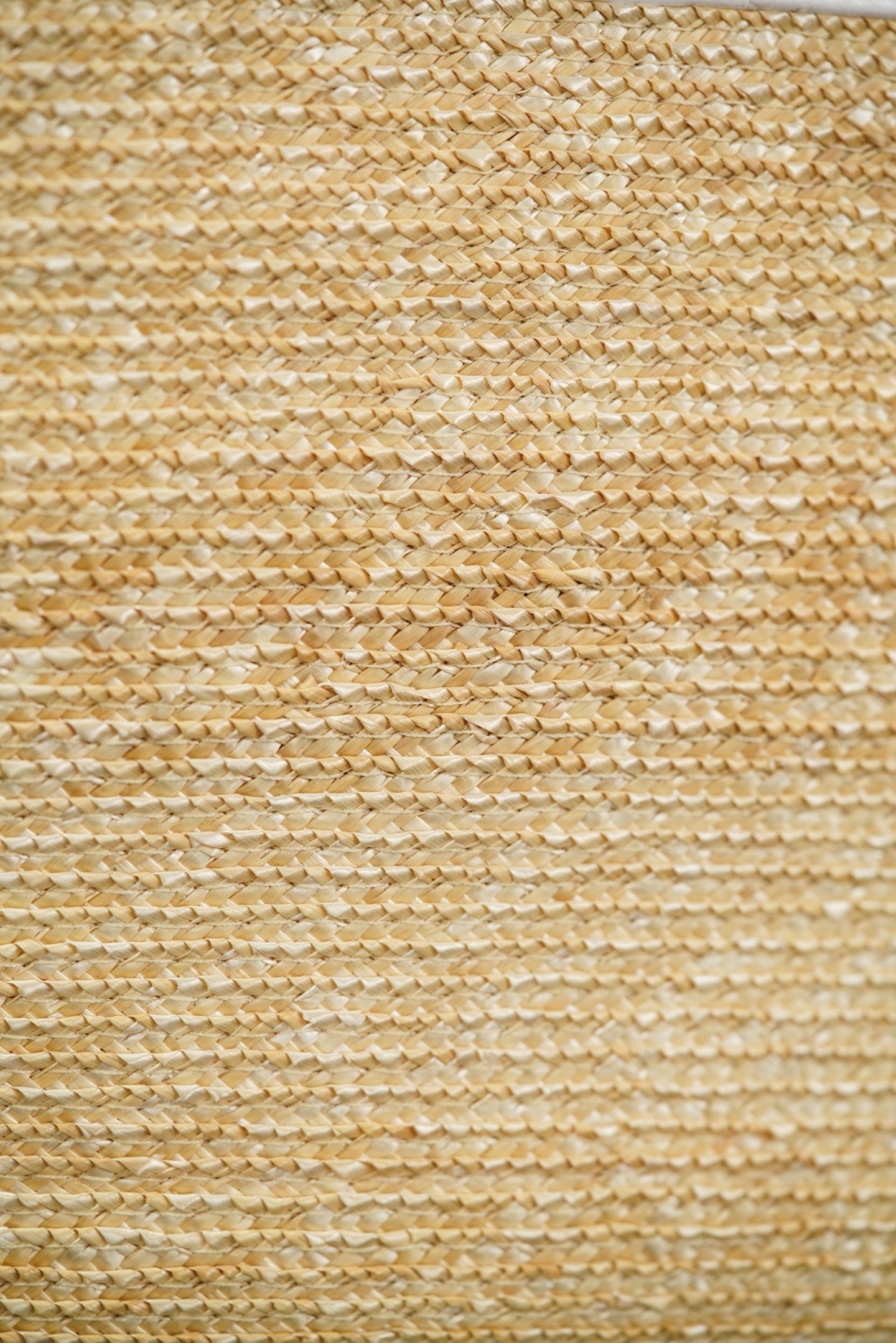 90001196_d9.jpg