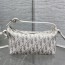 디올 D-Journey 스몰 백 22x13x9.5cm