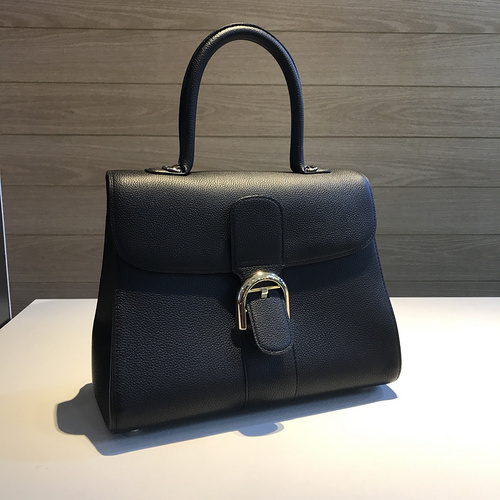 델보 브리앙 MM 토고백 미듐