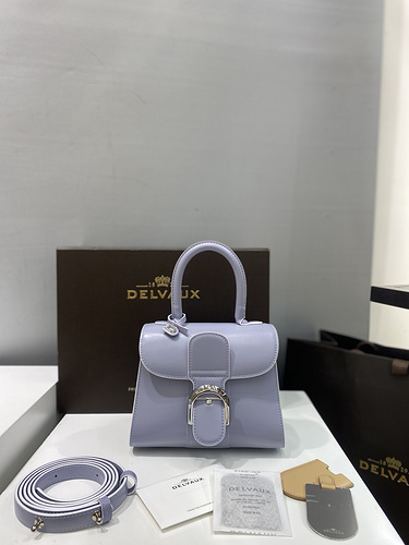 델보 브리앙 MM 박스백 스몰