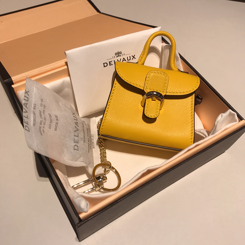 델보 브리앙 MM 박스백 미니