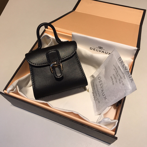 델보 브리앙 MM 박스백 미니